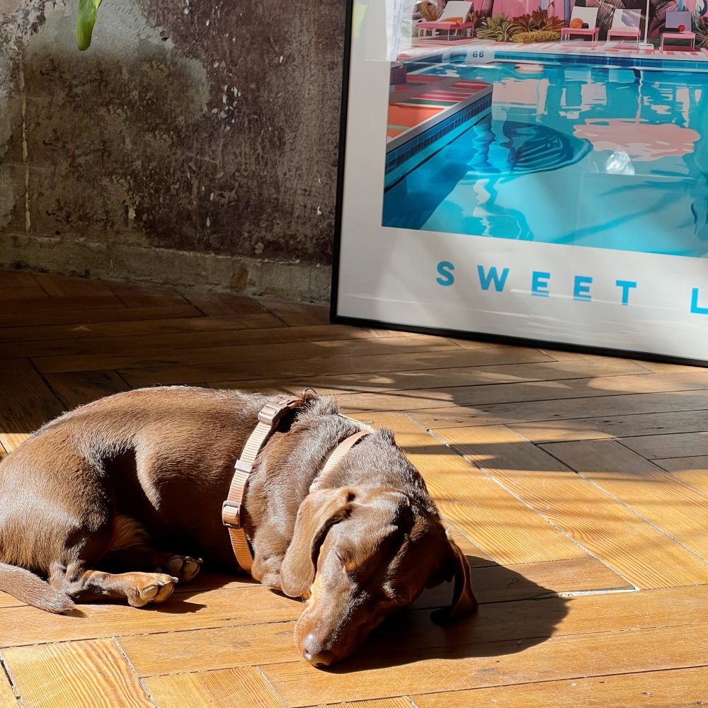 Sweet Life - Kunstdruck Einzelstück 90 x 120cm - Pulver & Blei